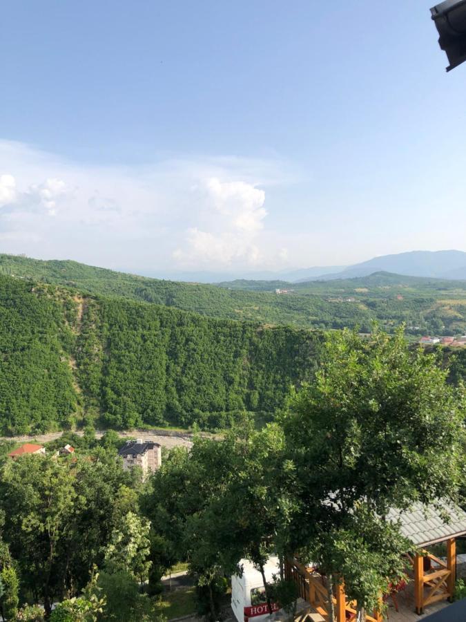 فندق Bujtina Vrenezi Peshkopi المظهر الخارجي الصورة