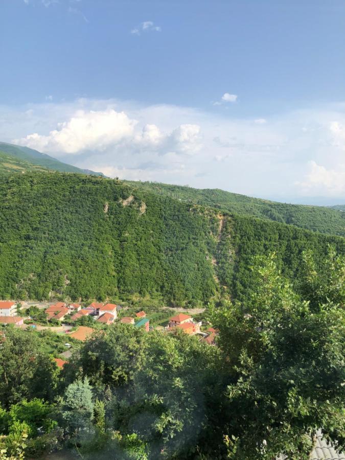 فندق Bujtina Vrenezi Peshkopi المظهر الخارجي الصورة
